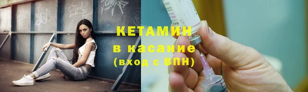 крисы Баксан