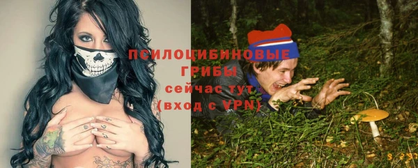 сатива Аркадак
