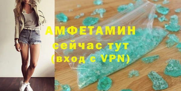 сатива Аркадак