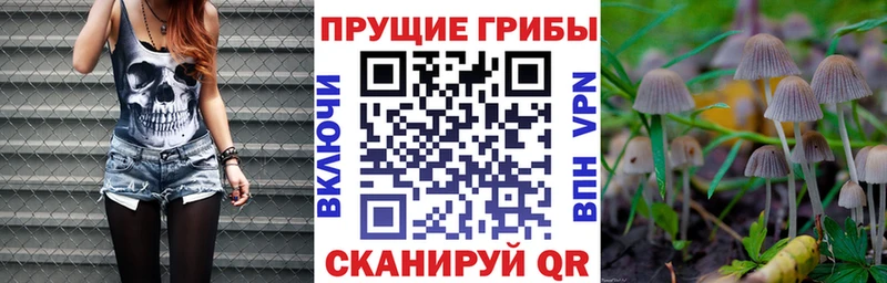 Галлюциногенные грибы мухоморы  цена наркотик  Пятигорск 