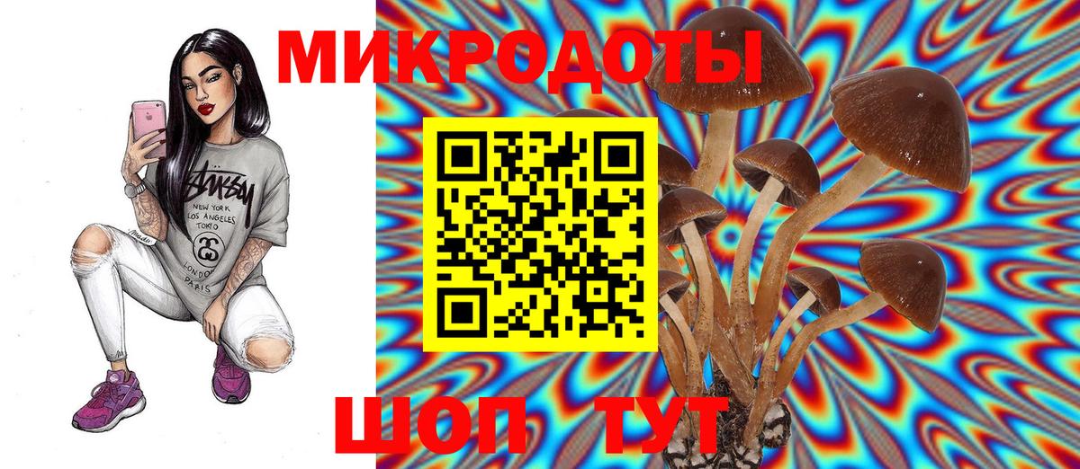 Пятигорск  Галлюциногенные грибы Cubensis  Вход с VPN 